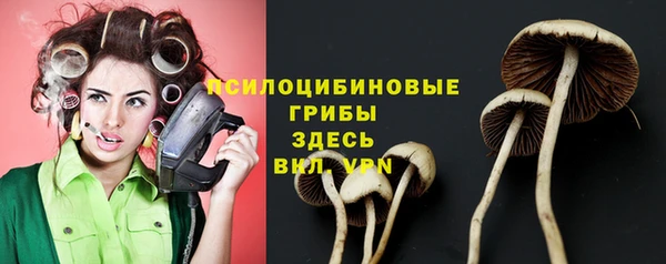 амф Нефтекумск