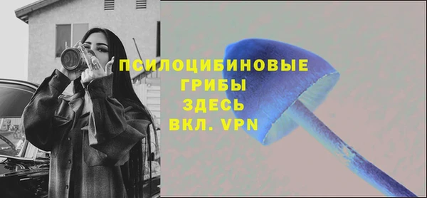 амф Нефтекумск