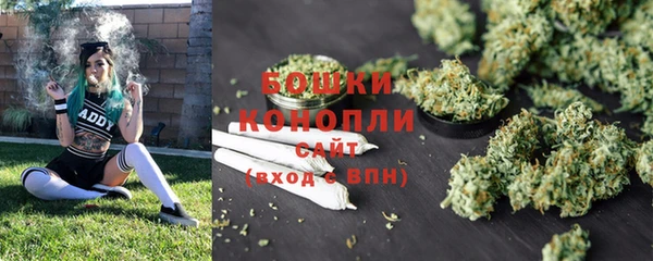 амф Нефтекумск